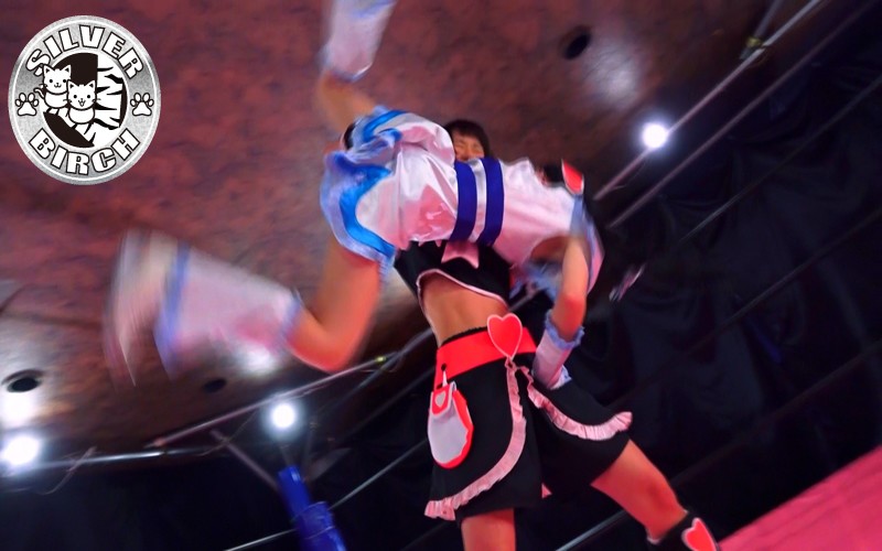 セクシーヒロインプロレス ピュアホワイトvsピュアブラックのサンプル画像4